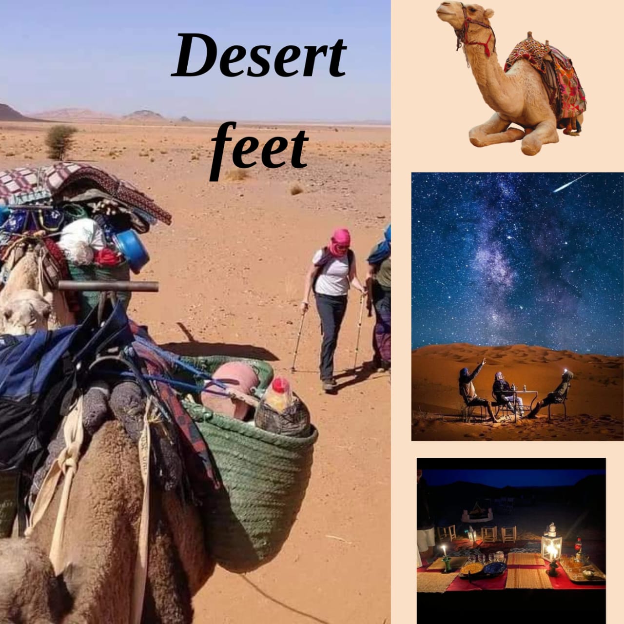 desertfeetmorocco